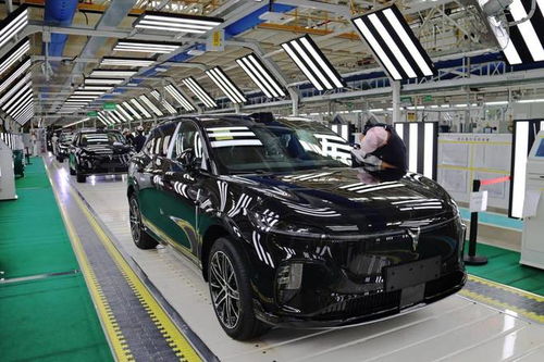 嵐圖汽車雙工廠火力全開，單日產能突破800輛，加速布局汽車市場